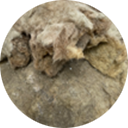 Mineralwolle